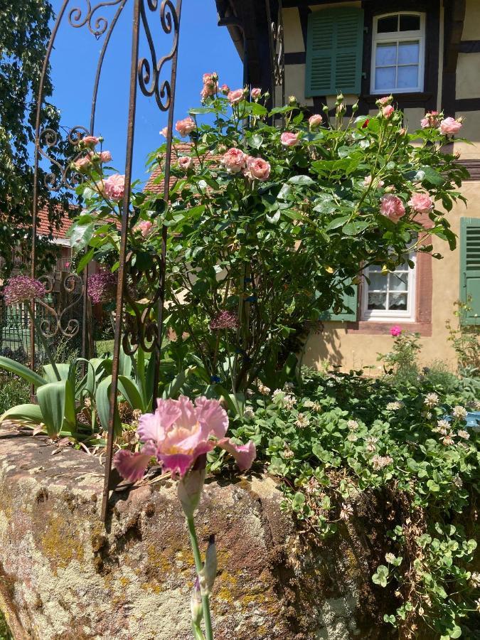Au Fil Du Temps Bed & Breakfast Imbsheim ภายนอก รูปภาพ