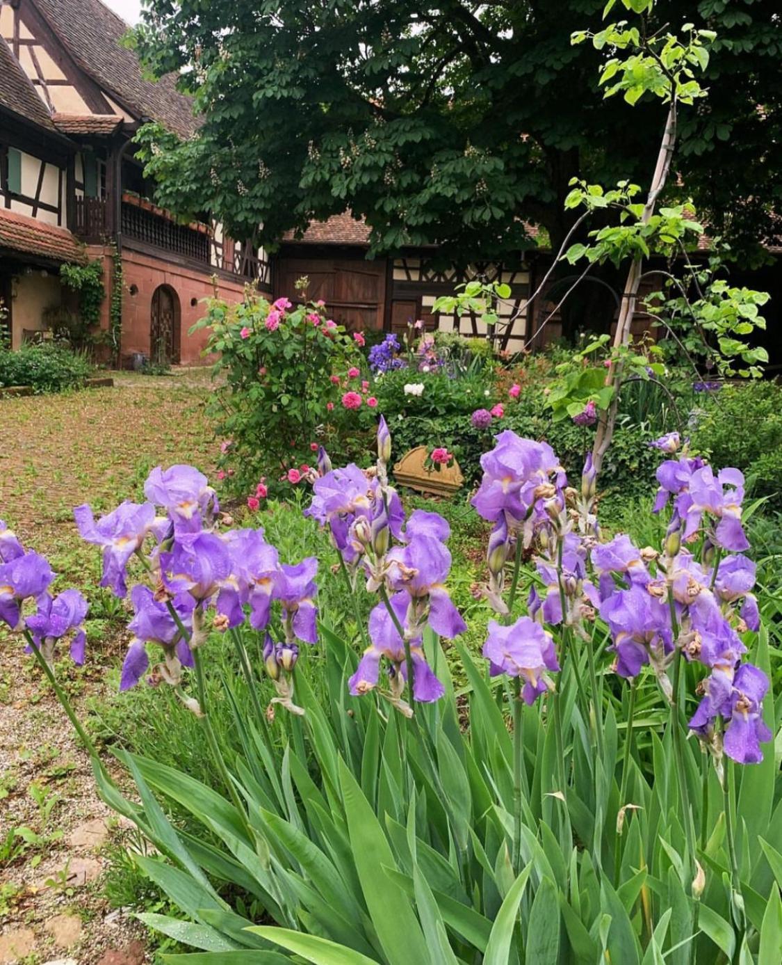 Au Fil Du Temps Bed & Breakfast Imbsheim ภายนอก รูปภาพ